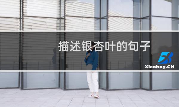 描述银杏叶的句子