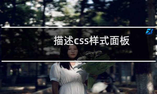 描述css样式面板