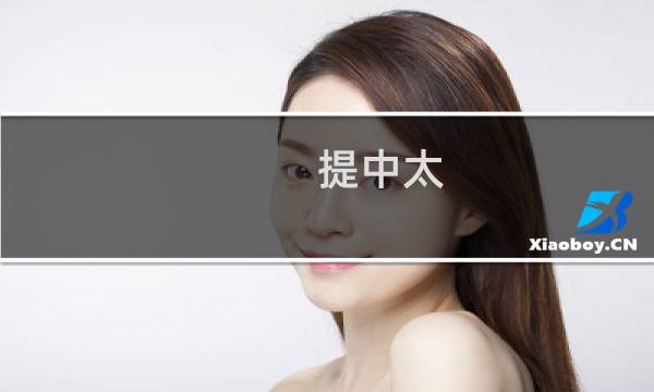 提中太 价格