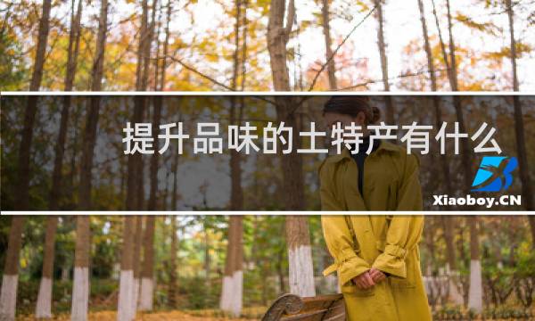 提升品味的土特产有什么