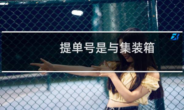 提单号是与集装箱