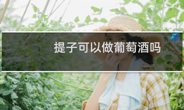 提子可以做葡萄酒吗