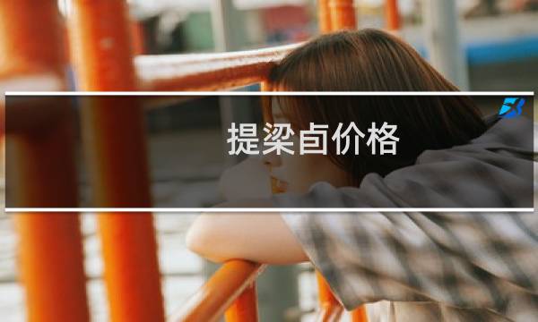 提梁卣价格
