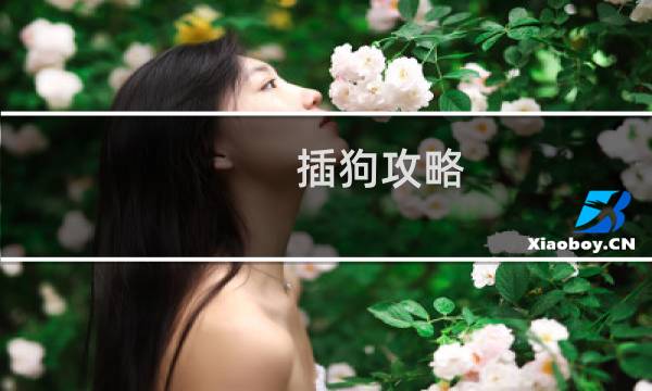 插狗攻略
