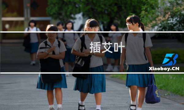 插艾叶 儿歌