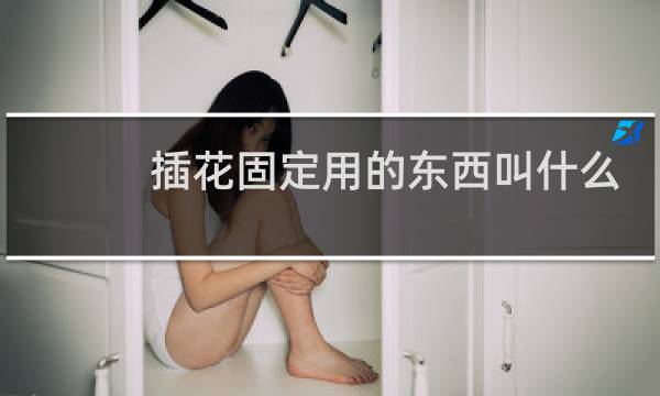 插花固定用的东西叫什么