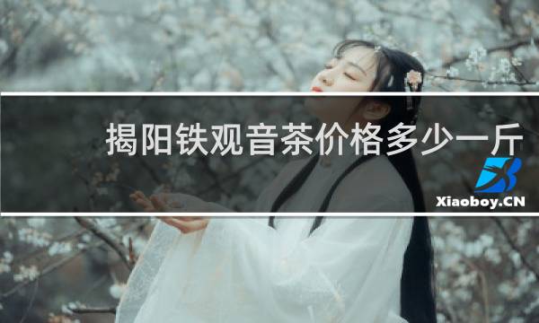 揭阳铁观音茶价格多少一斤