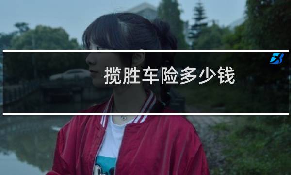 揽胜车险多少钱