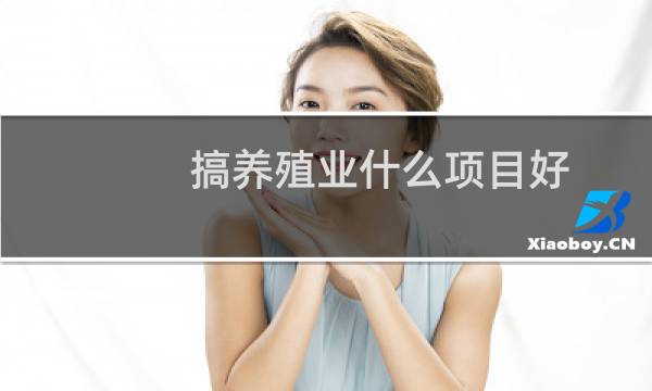 搞养殖业什么项目好