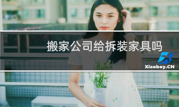 搬家公司给拆装家具吗