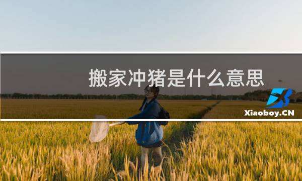 搬家冲猪是什么意思