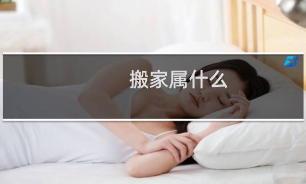 搬家属什么