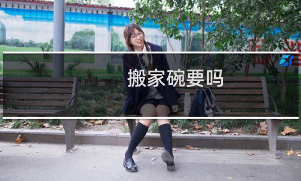 搬家碗要吗