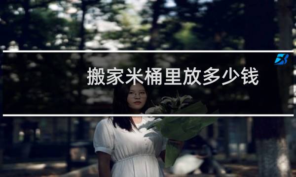 搬家米桶里放多少钱