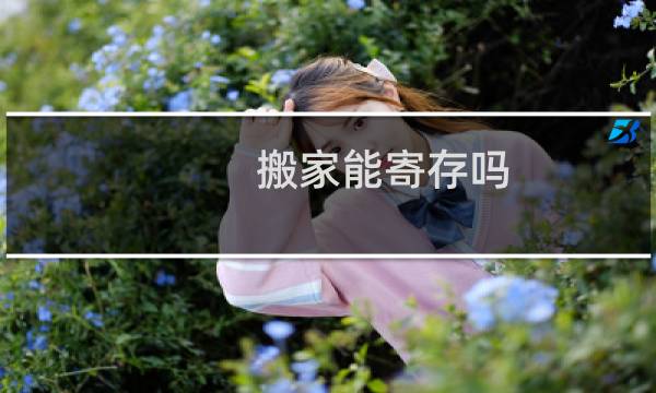 搬家能寄存吗