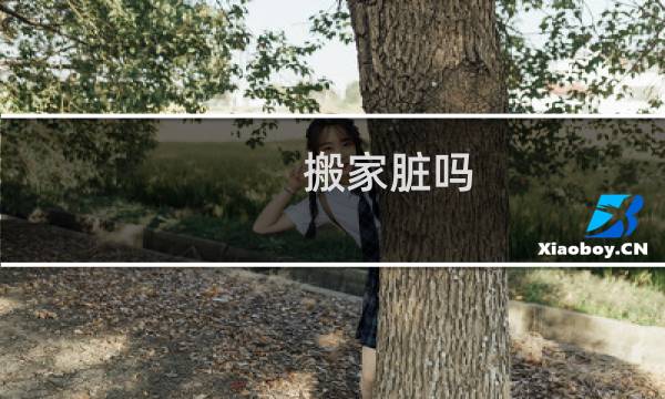 搬家脏吗