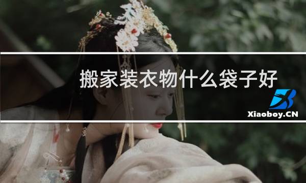 搬家装衣物什么袋子好