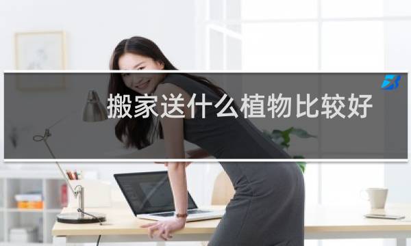 搬家送什么植物比较好