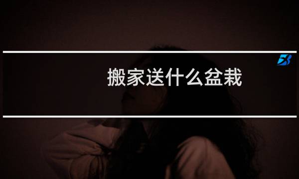 搬家送什么盆栽