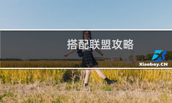 搭配联盟攻略