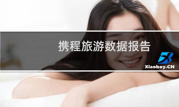携程旅游数据报告