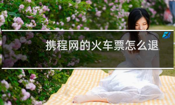 携程网的火车票怎么退
