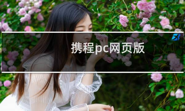 携程pc网页版
