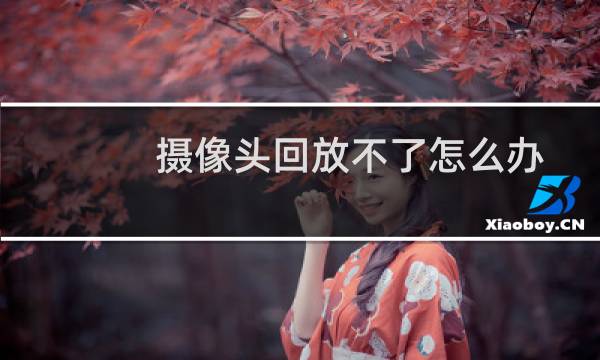 摄像头回放不了怎么办