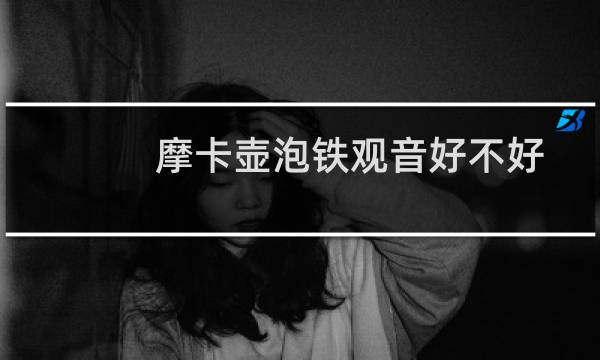 摩卡壶泡铁观音好不好