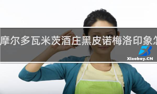 摩尔多瓦米茨酒庄黑皮诺梅洛印象怎么样