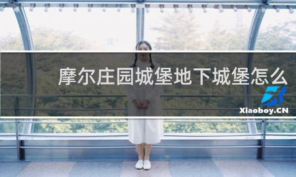 摩尔庄园城堡地下城堡怎么