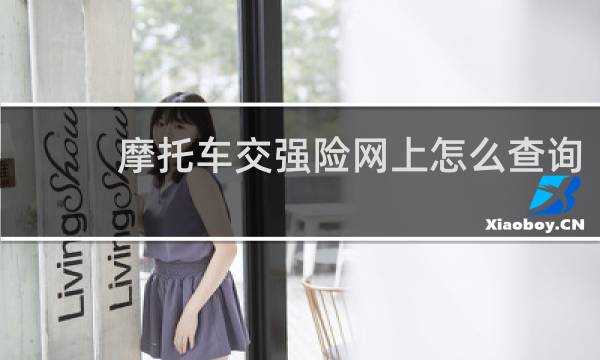 摩托车交强险网上怎么查询