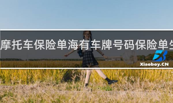 摩托车保险单海有车牌号码保险单生效吗