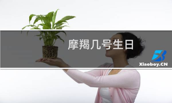 摩羯几号生日