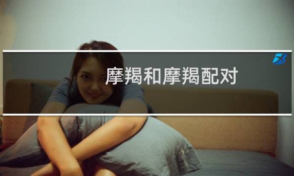 摩羯和摩羯配对