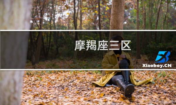 摩羯座三区