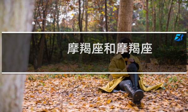 摩羯座和摩羯座