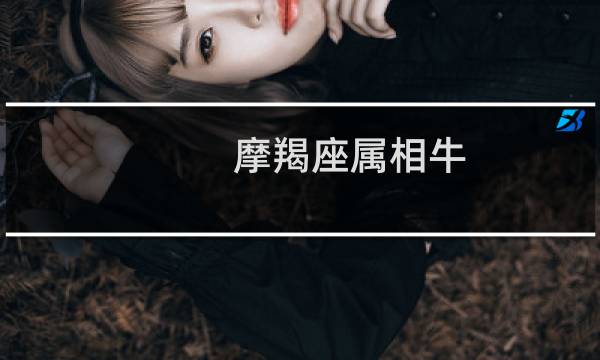 摩羯座属相牛