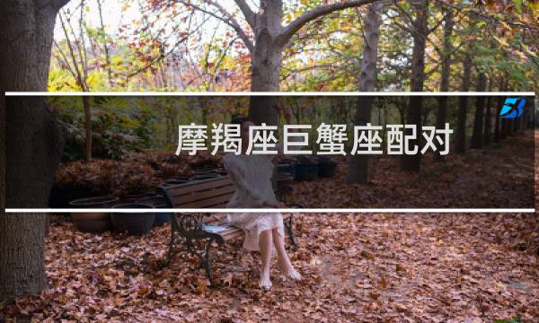 摩羯座巨蟹座配对