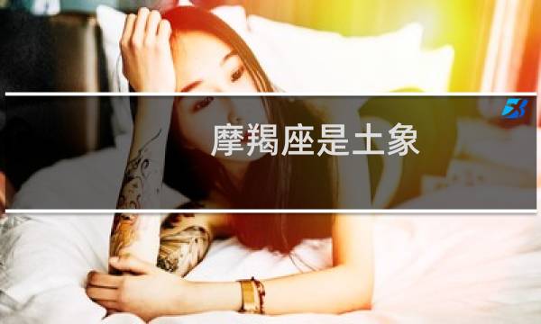 摩羯座是土象