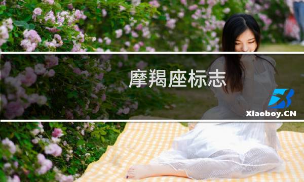 摩羯座标志