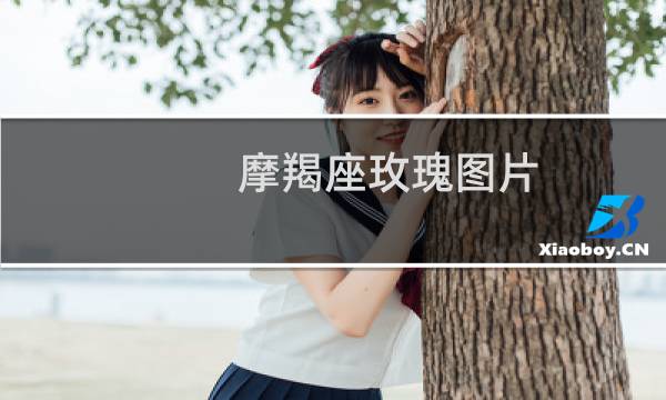 摩羯座玫瑰图片