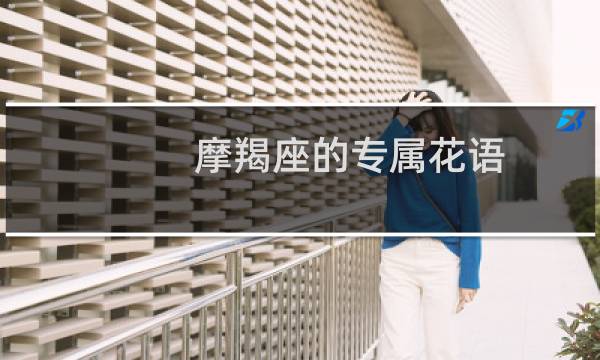 摩羯座的专属花语