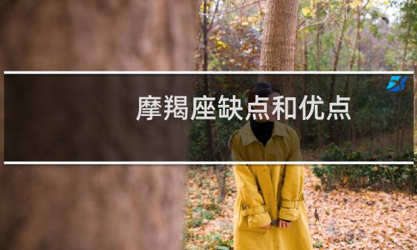 摩羯座缺点和优点