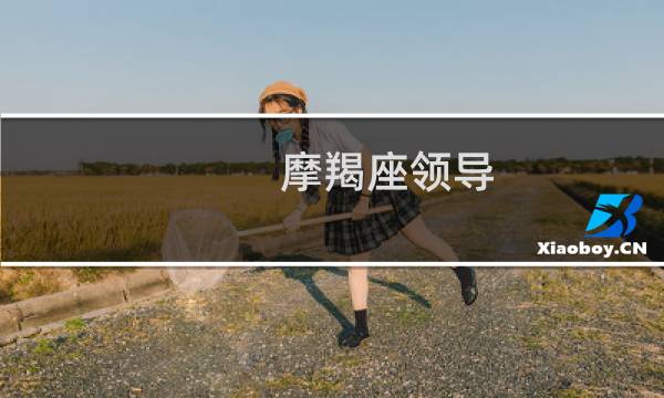 摩羯座领导