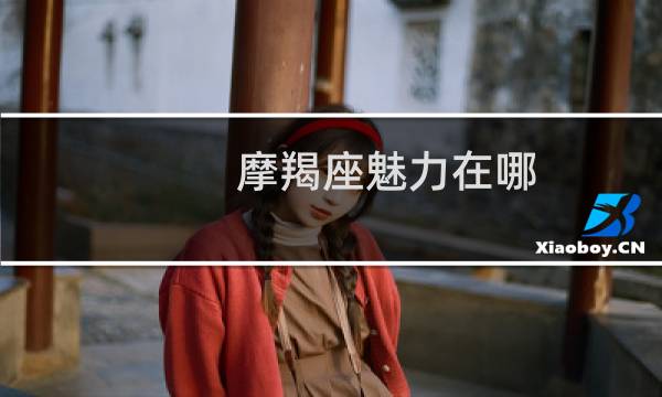 摩羯座魅力在哪