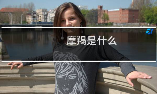 摩羯是什么