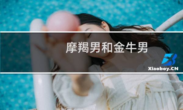 摩羯男和金牛男