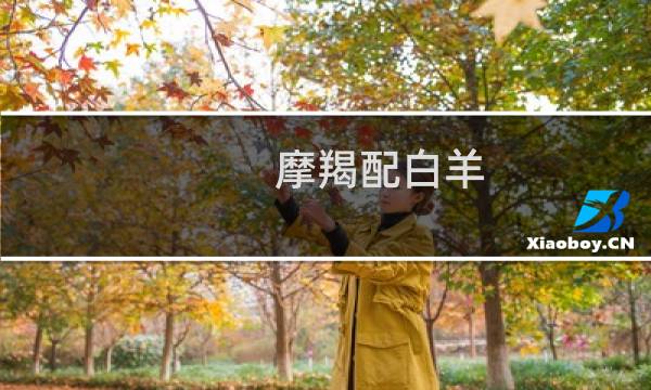 摩羯配白羊