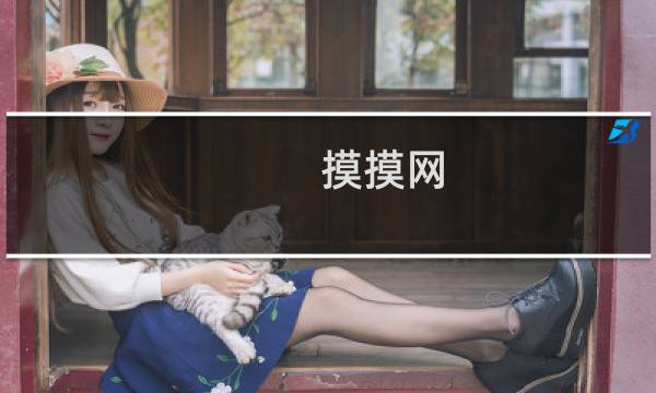 摸摸网 攻略